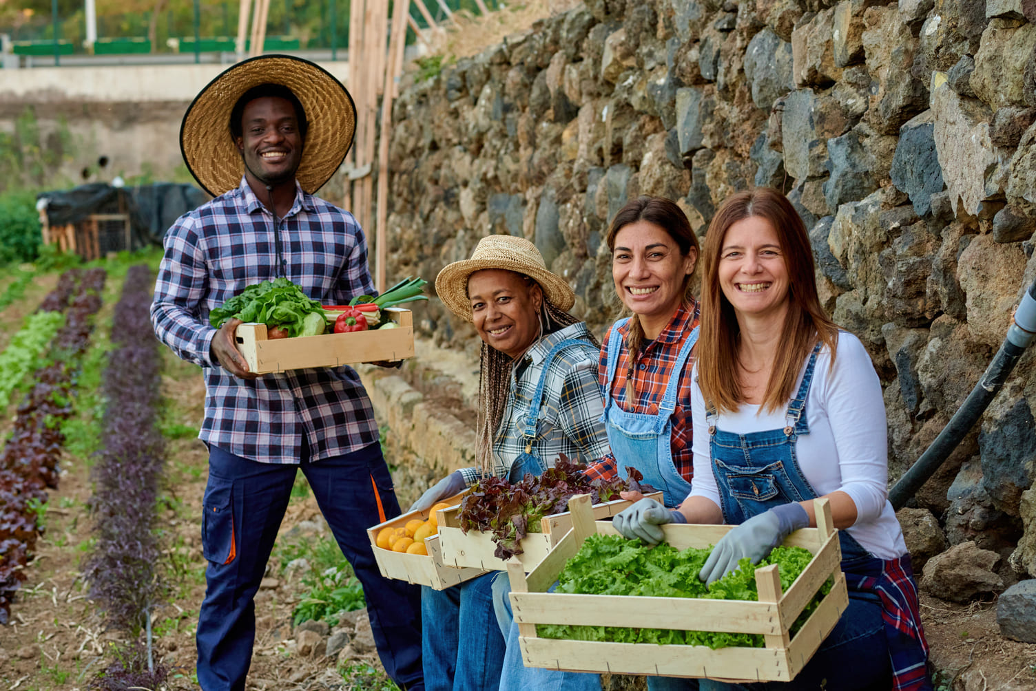 cheerful-multiracial-farmers-with-fresh-vegetables-2022-09-30-04-04-01-utc (2) (2)